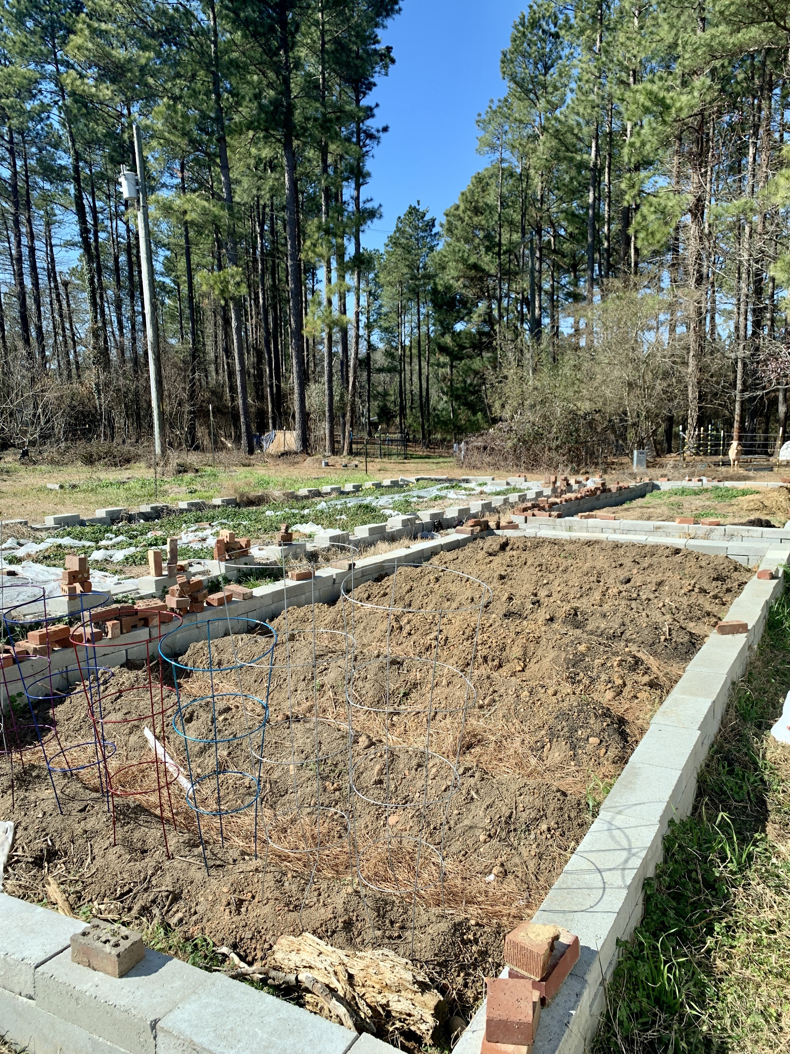 Winter Work